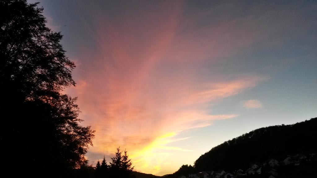 Landhotel Fasanenhof Eschwege Εξωτερικό φωτογραφία